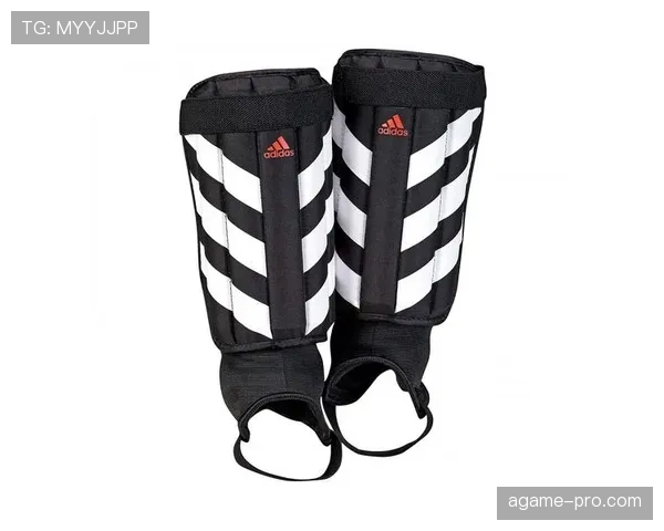 装备规则：护腿板、首饰与危险物的合规判定